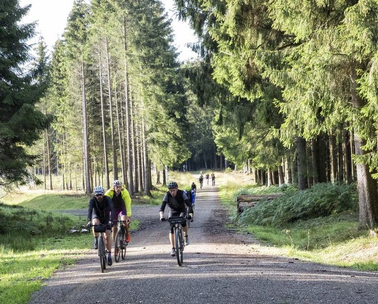 Dirty Boar riders ride along a wide gravel road through tall conifer forest, more riders strung out behind.