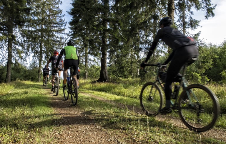 Four riders follow a grassy double-track trail through pine forest at the Dirty Boar in sunshine.