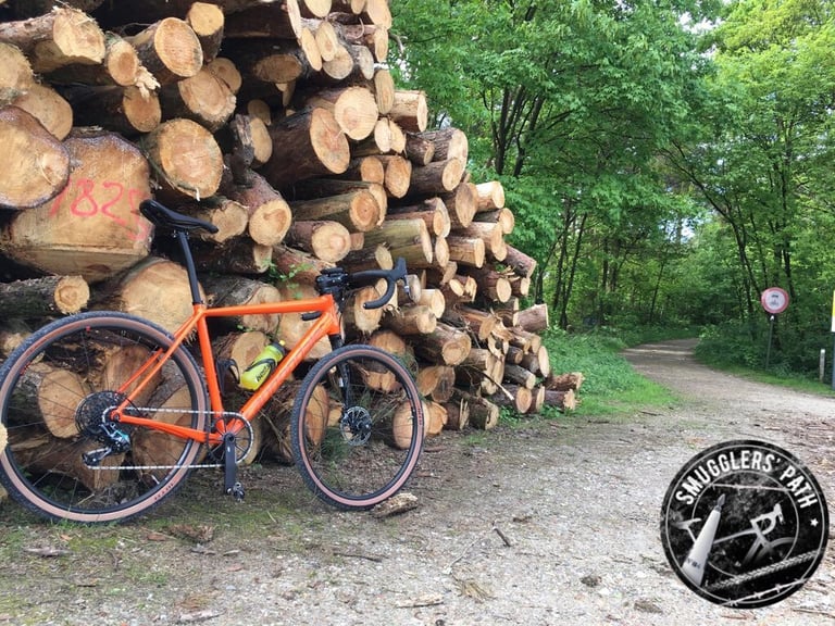 Orange gravel bike leaning on a stack of felled logs beside a forest track in Belgium, ahead of Smugglers Path.