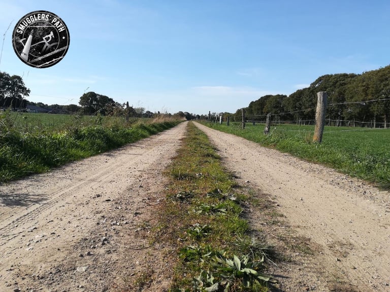 Wide sandy farm track between fields and fence posts, typical of the Smugglers Path gravel route in Belgium.