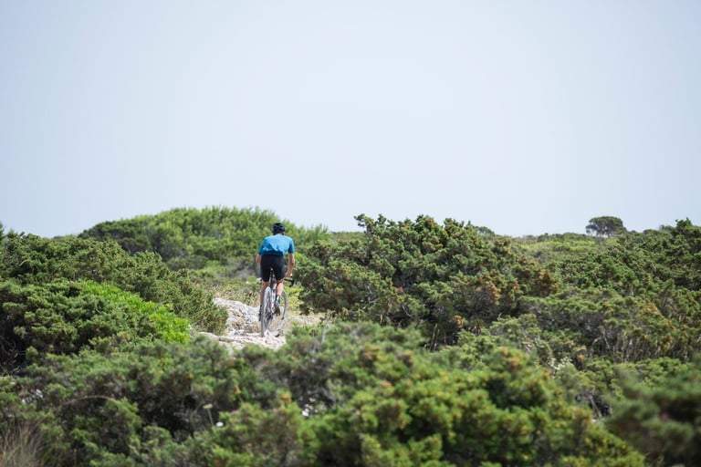 Lone rider in a blue jersey climbs a rocky track through low scrub on Mallorca, promoting Toros de Gravel.