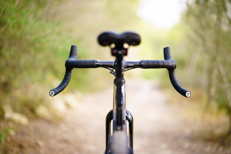 3T Superghiaia bars without levers, seen from the front with 3T bar-end plugs, the saddle behind on a tree-lined track.