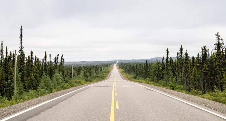 Empty road with a yellow centre line running through spruce forest, in the Outskirts II film The Big Lands.