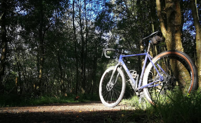Mud-splattered Fairlight Secan with a saddle pack on a woodland track in low sunlight.