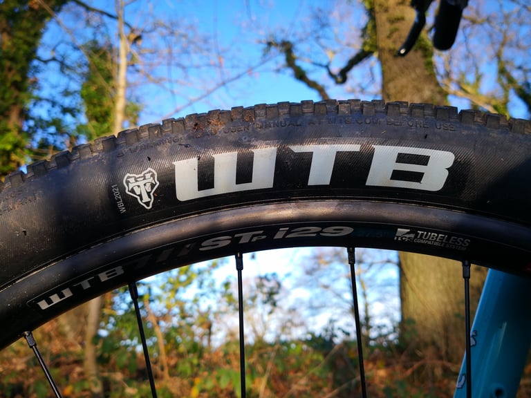 WTB Beeline tyre sidewall above an STi29 tubeless-compatible rim on the Surly Bridge Club, against bare winter trees.