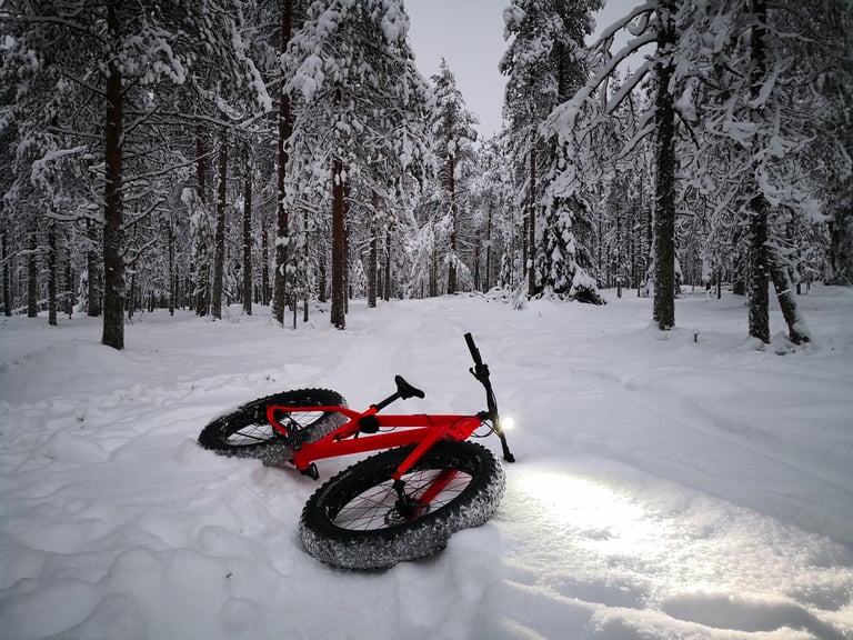 Red Canyon Dude fatbike lying on its side in fresh snow among pines, its headlight lighting the trail.