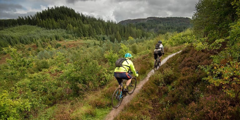 Two gravel riders follow narrow singletrack through forest and heather in Loch Lomond and the Trossachs National Park.