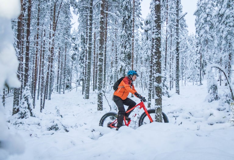 Rider in an orange jacket and blue helmet pedals a red fatbike through deep snow among tall pines in Lapland.
