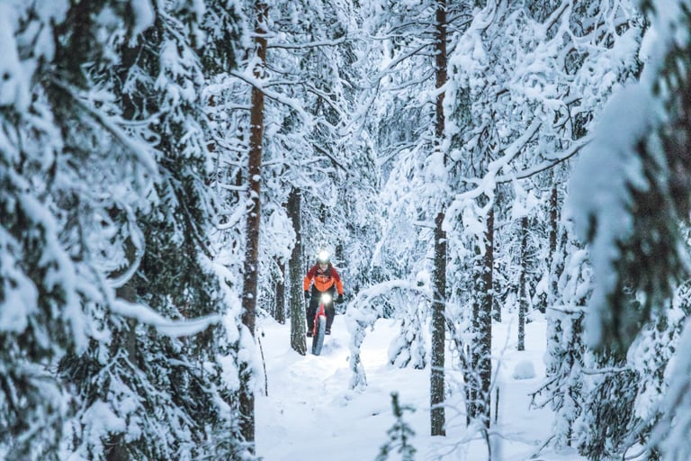 Fatbike rider with a headlight picks a line along a narrow snowy trail through snow-laden pines near Rovaniemi.