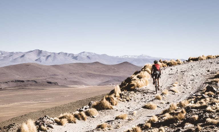 Cyclist in a red top rides a rocky ridge track above a vast, empty high plain and distant snow-dusted ranges.
