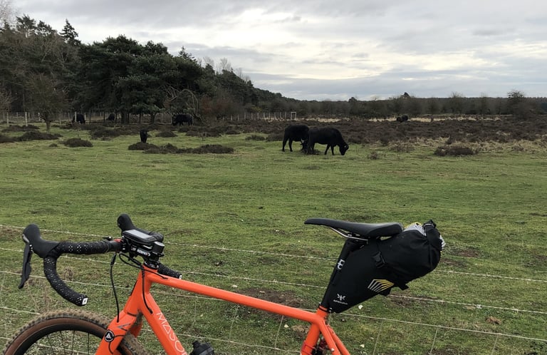 Orange drop-bar bike with the Apidura Racing Saddle Pack fitted, beside a fence with grazing cattle.