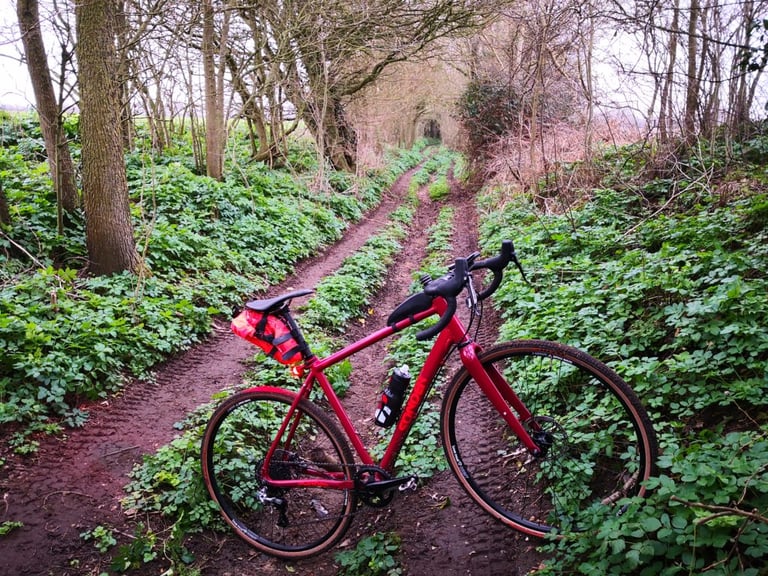 Sonder Camino AL with an orange saddlebag on a muddy double-track lane lined with green undergrowth.