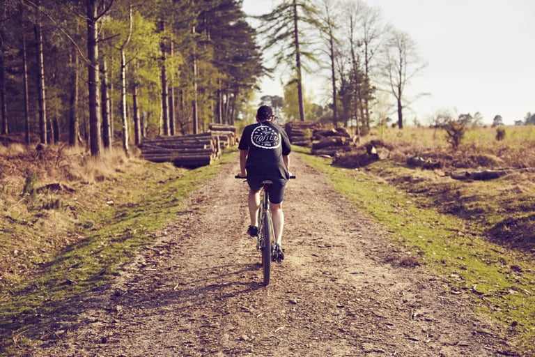 Rider in a Brother in the Wild T-shirt heads down a wide dirt track past stacked logs at the edge of pine woodland.