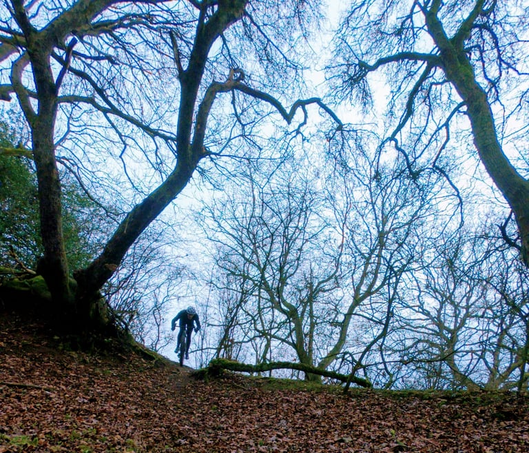Rider descends a leaf-covered woodland slope between bare trees on the Mason InSearchOf.