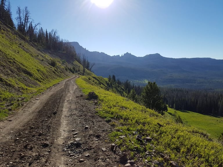 Rough dirt track on the Tour Divide route curves along a forested Wyoming hillside towards distant rocky peaks.