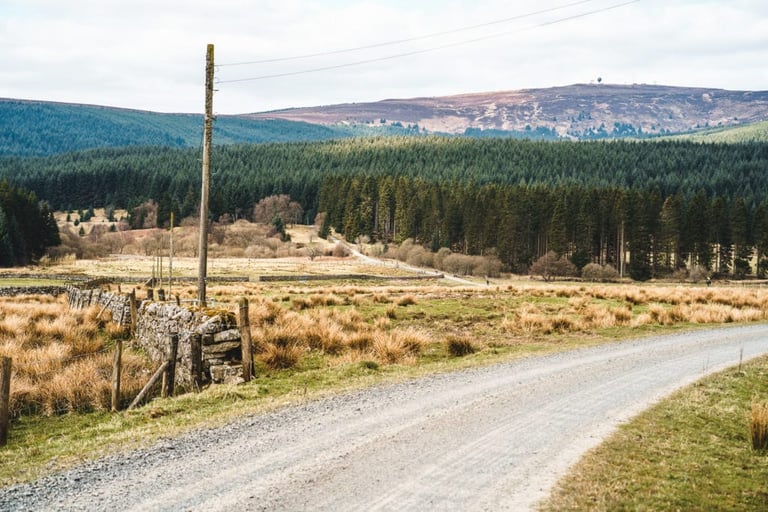 Dry-stone wall beside a gravel road with forested Northumberland hills beyond on the Dirty Reiver 2019 route.