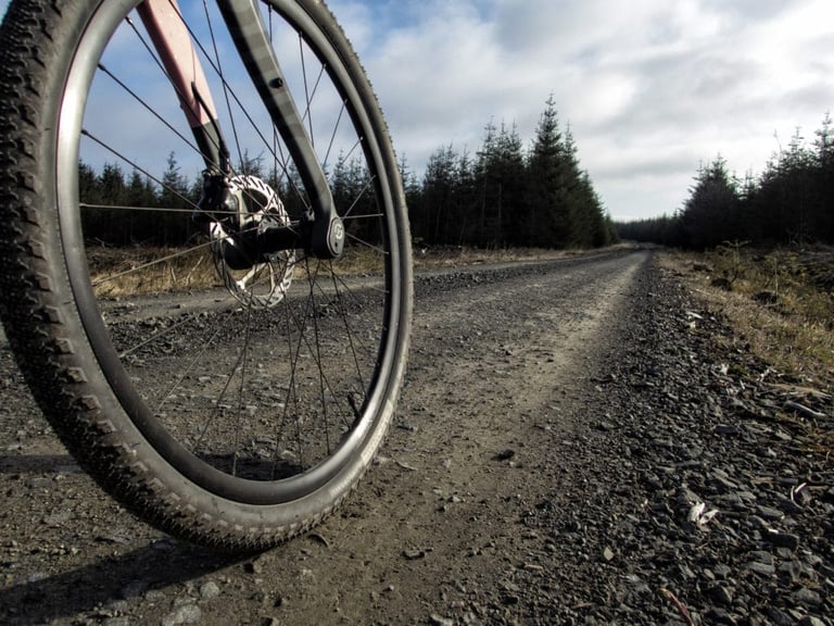 Low view of a Teravail Cannonball front wheel and disc brake on a gravel forest track lined with conifers.