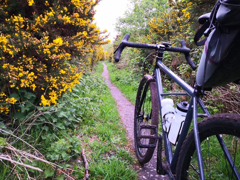 BiViBIKES Bunker with two bottles and a seat pack, parked on a narrow path between flowering gorse bushes.