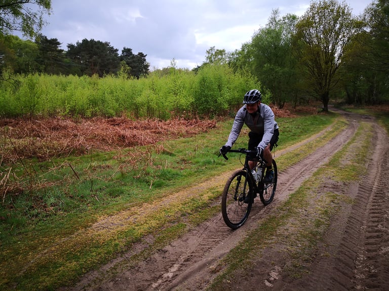 Rider pedals the BiViBIKES Bunker along a sandy double-track between young trees and bracken.