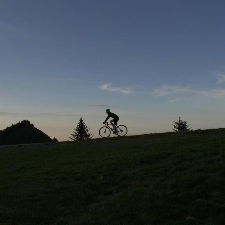 Silhouetted rider crosses a grassy hillside at dusk between conifers, from the Further adventure cycling event.