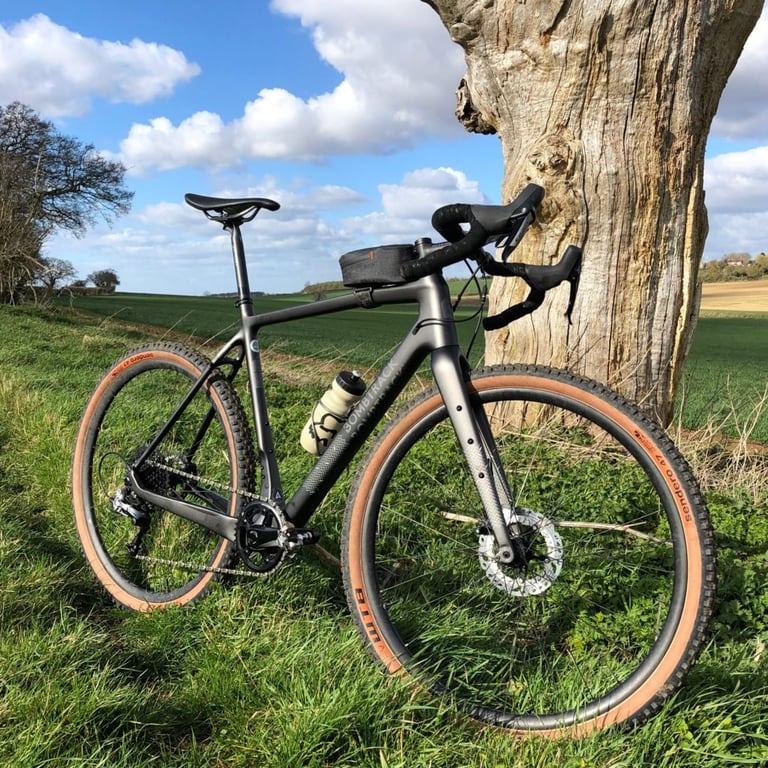 Bombtrack Hook EXT-C on 650b wheels with Sendero 47 tyres, leaning against an old tree trunk under a blue sky.