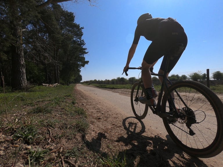 Rider in silhouette on the Bombtrack Hook EXT-C, riding a gravel track lined with pines under a clear blue sky.