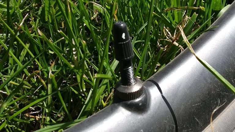 Tubeless valve fitted to a Merit Windmill carbon rim, with grass behind.
