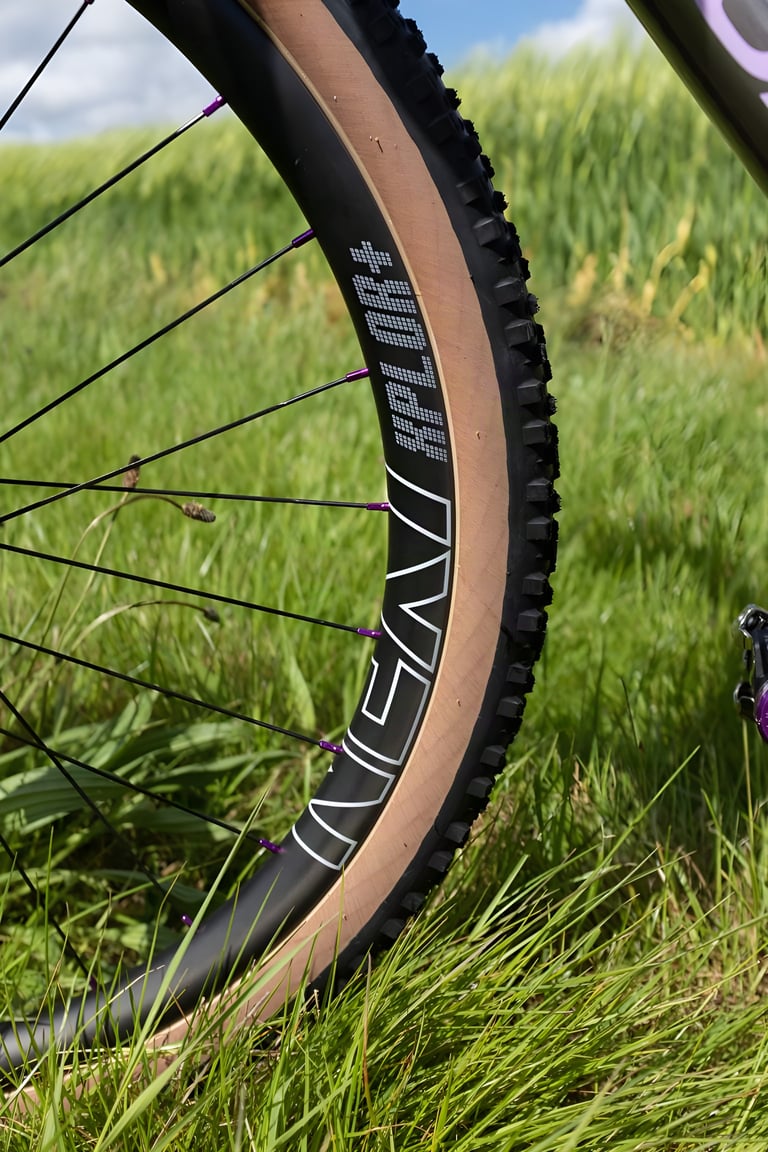 Close-up of a Next Cycling Xplor carbon rim and tan-wall WTB tyre with purple spoke nipples on the Cannondale Slate.