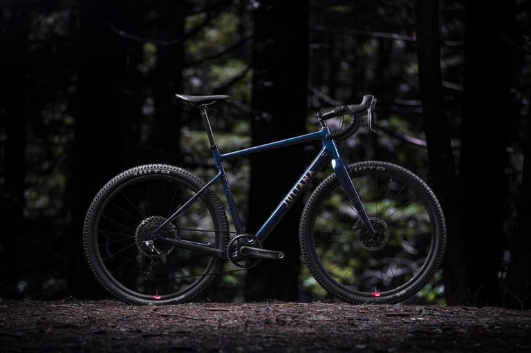 Juliana Quincy, the women's version of the Santa Cruz Stigmata, in blue with knobbly tyres, standing in dark woodland.