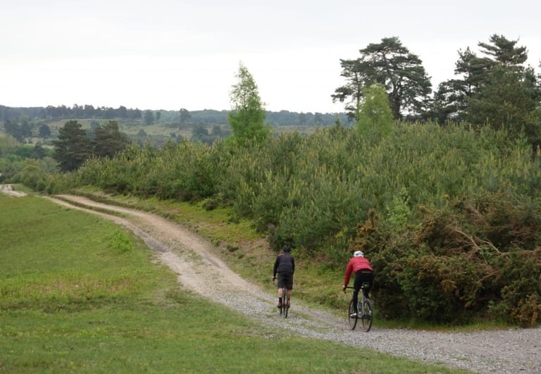 Two riders climb a winding gravel fire road through heathland and pines on the Swinley Gravel’duro route.