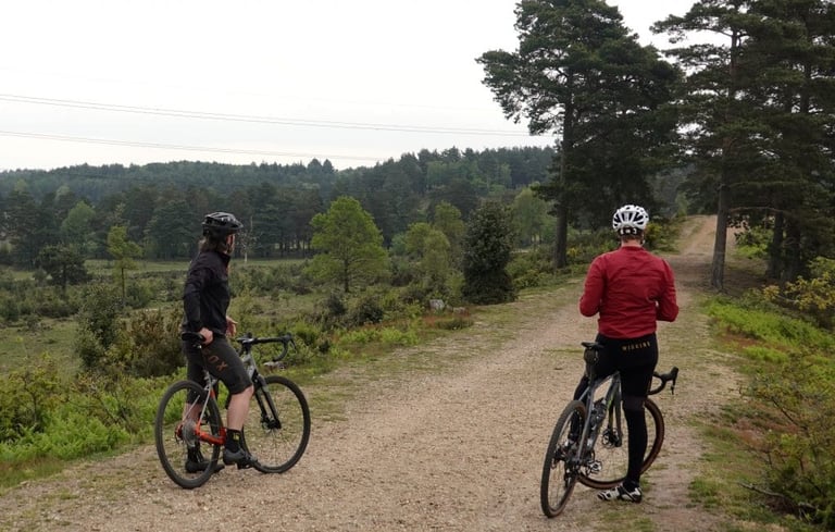 Two riders stop on a gravel track to look out over pine and heath in Swinley Forest, Berkshire.