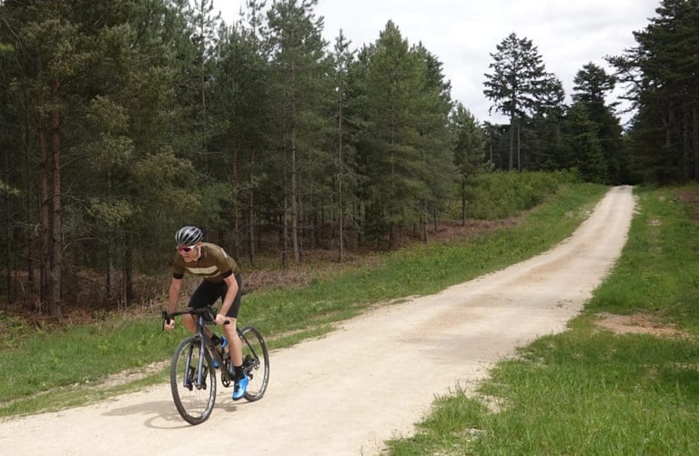 Rider in the Blackmore Cadet jersey climbs out of the saddle on a wide gravel road through pine plantation.