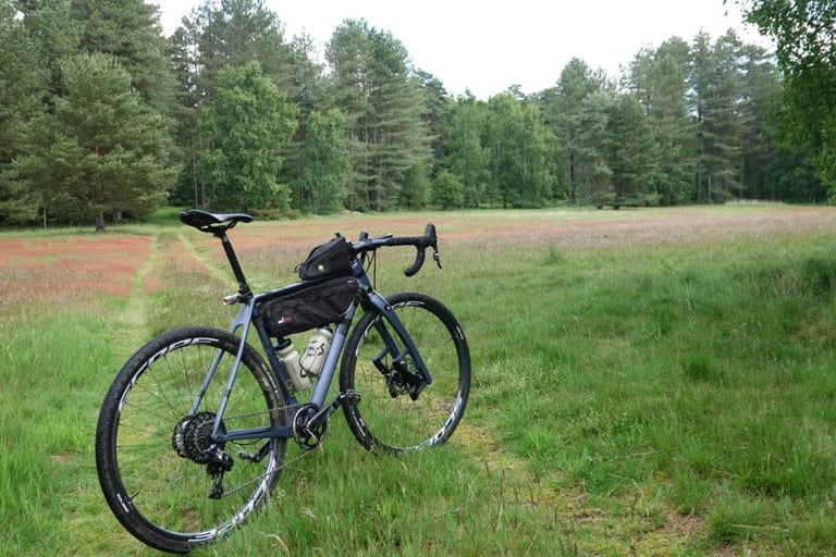 Grey gravel bike with frame bags and Scope wheels parked on a grassy meadow path beside pine woodland.