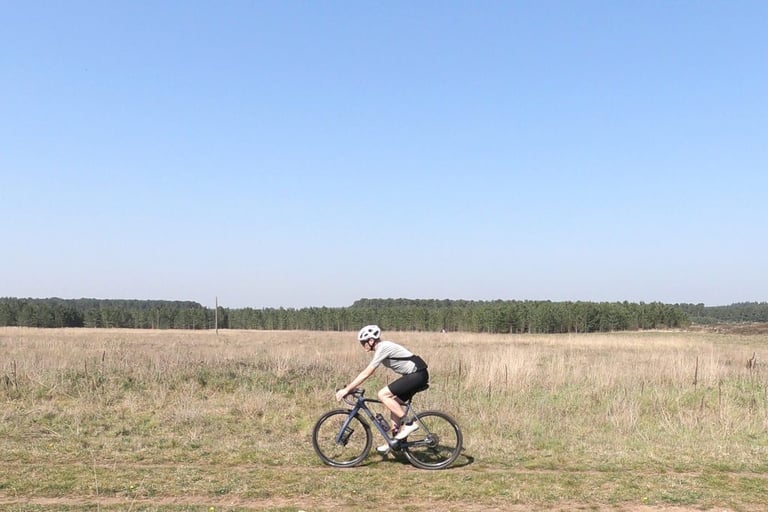 Side view of a rider wearing the Ashlu jersey on a gravel bike across open grassland with pine woods behind.