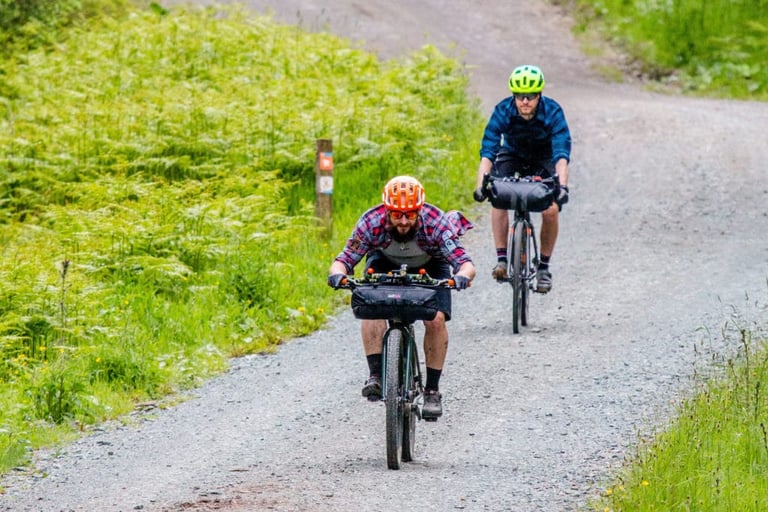 Two riders with handlebar bags, one on flat bars, roll down a gravel forest track past bracken on The Distance.