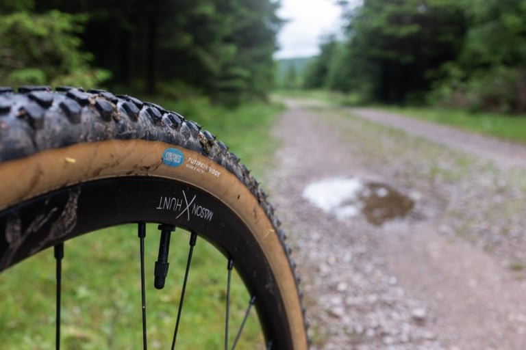 Side view of a Rene Herse Pumpkin Ridge tyre on a muddy Mason x Hunt wheel, with a gravel forest track beyond.