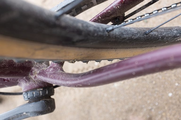 Pumpkin Ridge tyre seen from above with a gap to the chainstay on a Rondo Ruut AL, showing frame clearance.
