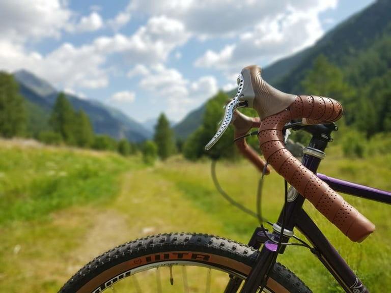 Velo Orange Piolet handlebar and front tyre with a blurred Alpine valley and mountains behind.