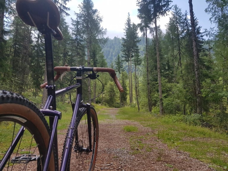 Velo Orange Piolet saddle and drop bars seen from behind on a wide forest track through conifers.