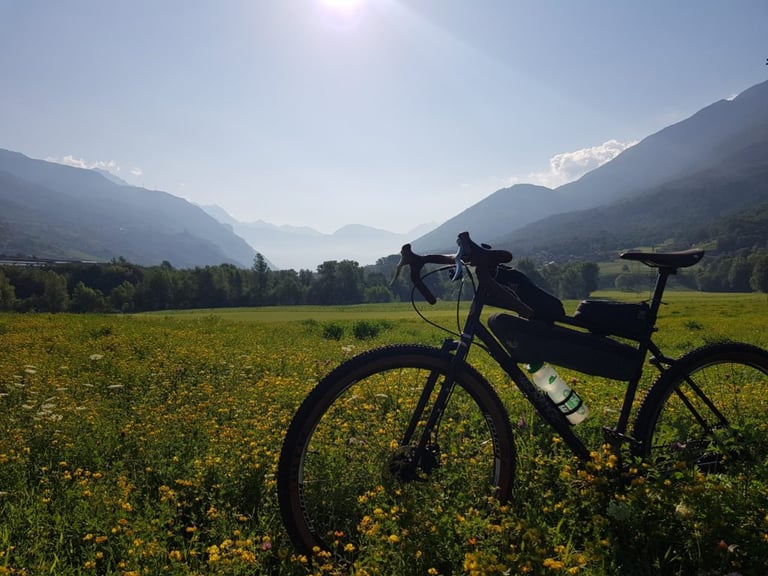 Velo Orange Piolet with frame bag and bottle in a flower meadow, with hazy Alpine peaks beyond.