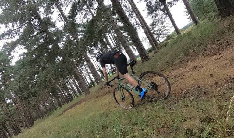 Rider leans the Cipollini MCM All Road into a turn on a grassy slope between rows of pine trees.