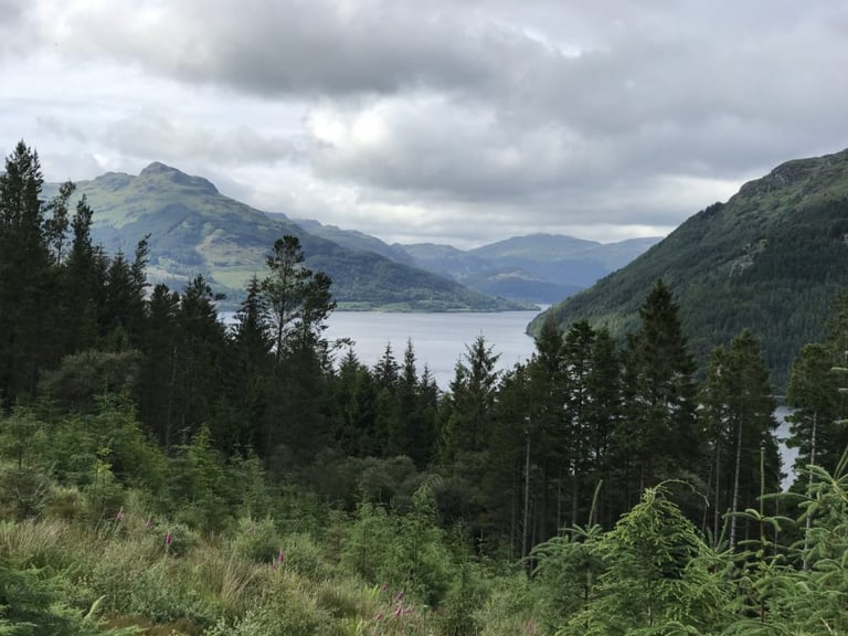 View over a Scottish sea loch and forested hills from the Dunoon Dirt Dash route on the Cowal Peninsula.