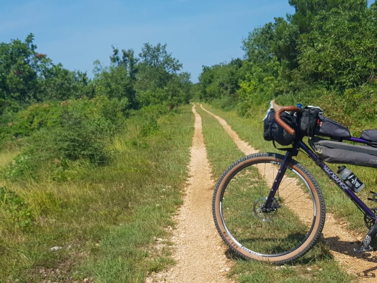 Velo Orange Piolet with handlebar bag parked on a grassy double-track trail between trees on the beerpacking route.