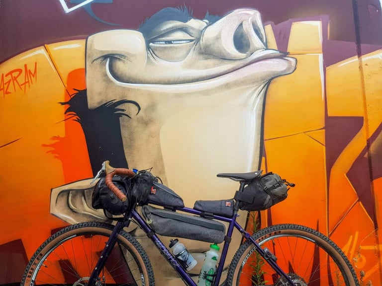 Fully loaded Velo Orange Piolet in front of a large orange mural of a smug pig-faced character.
