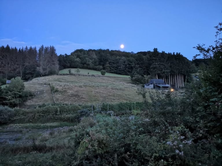 Wooded hillside and a farm building under a rising moon at dusk at Landgut Breibach in Kürten.