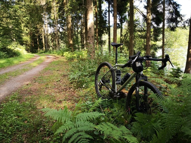 Grey-green Bombtrack Hook ADV propped among ferns beside a forest track, with two bottles in its cages.