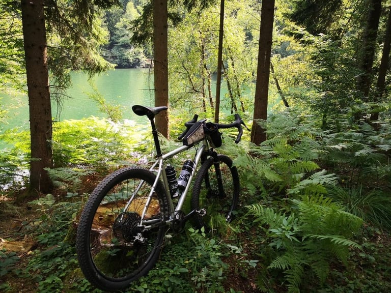 Bombtrack Hook ADV with two bottles leans among ferns above the green water of the Grosse Dhünntalsperre reservoir.