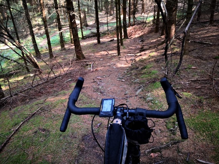 Rider's view over the Bombtrack Hook ADV's drop bars and GPS unit down a rooty singletrack through conifer forest.