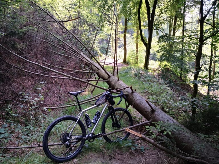Bombtrack Hook ADV with suspension fork and top-tube bag rests against a fallen spruce on a forest trail.