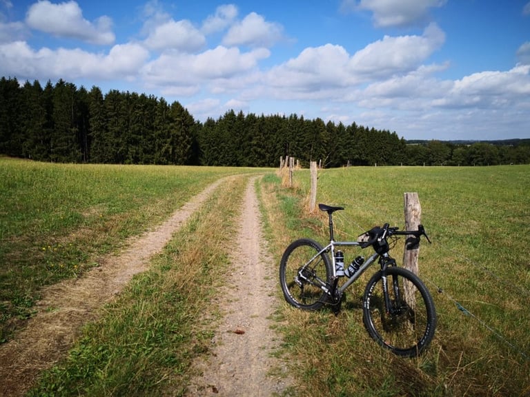 Bombtrack Hook ADV leans on a fence post beside a grassy double-track, with spruce forest behind.